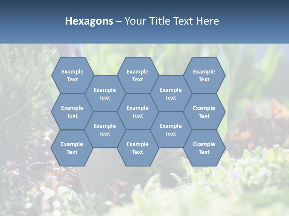 Sand Sea Caucasian PowerPoint Template