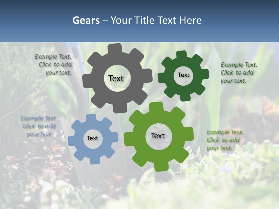 Sand Sea Caucasian PowerPoint Template