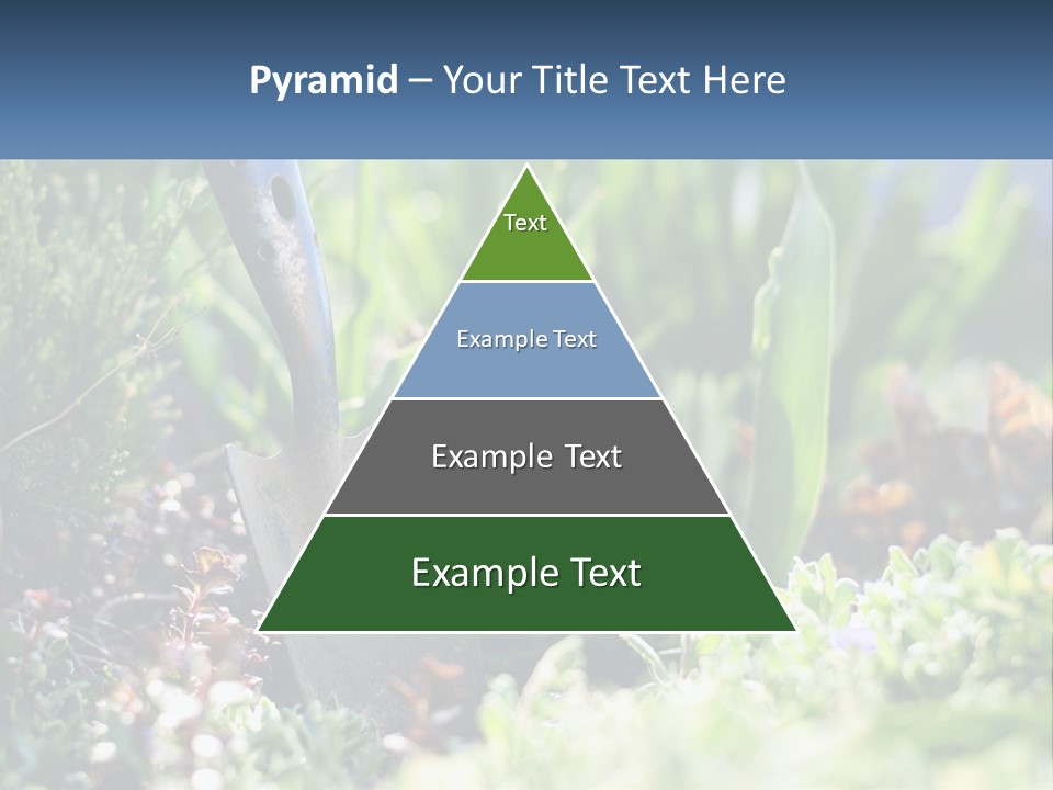 Sand Sea Caucasian PowerPoint Template