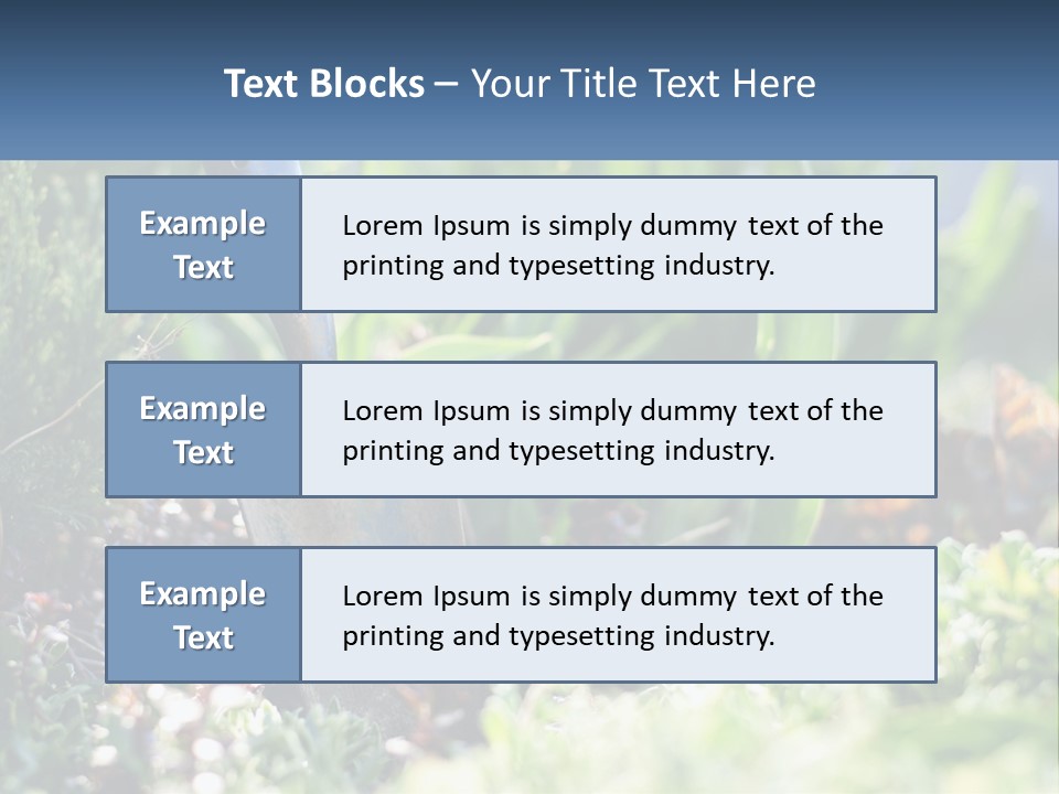 Sand Sea Caucasian PowerPoint Template