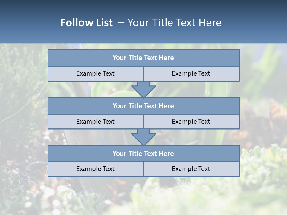 Sand Sea Caucasian PowerPoint Template