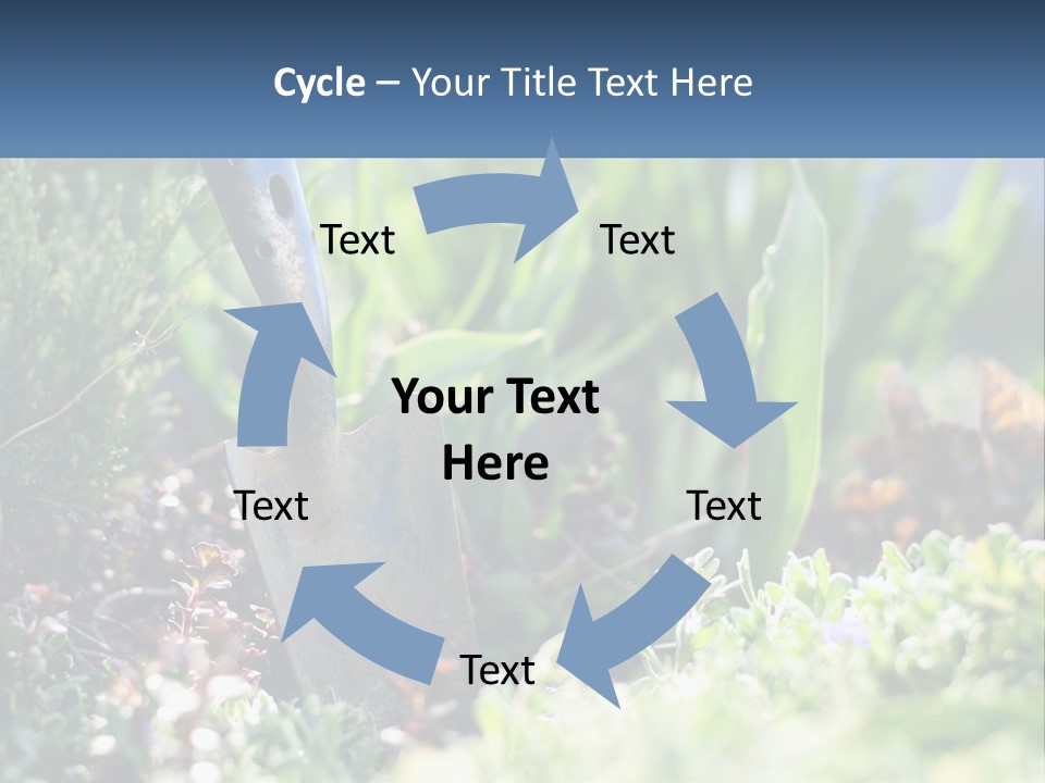 Sand Sea Caucasian PowerPoint Template