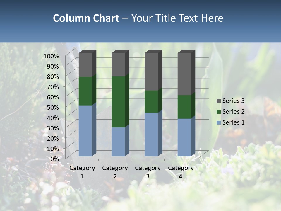 Sand Sea Caucasian PowerPoint Template