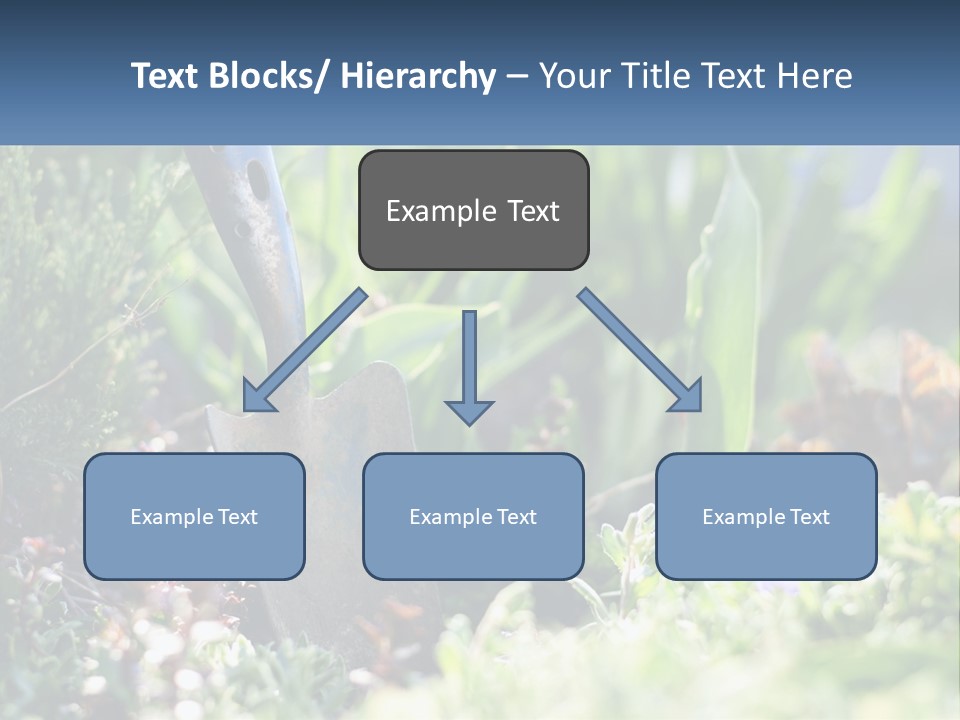 Sand Sea Caucasian PowerPoint Template