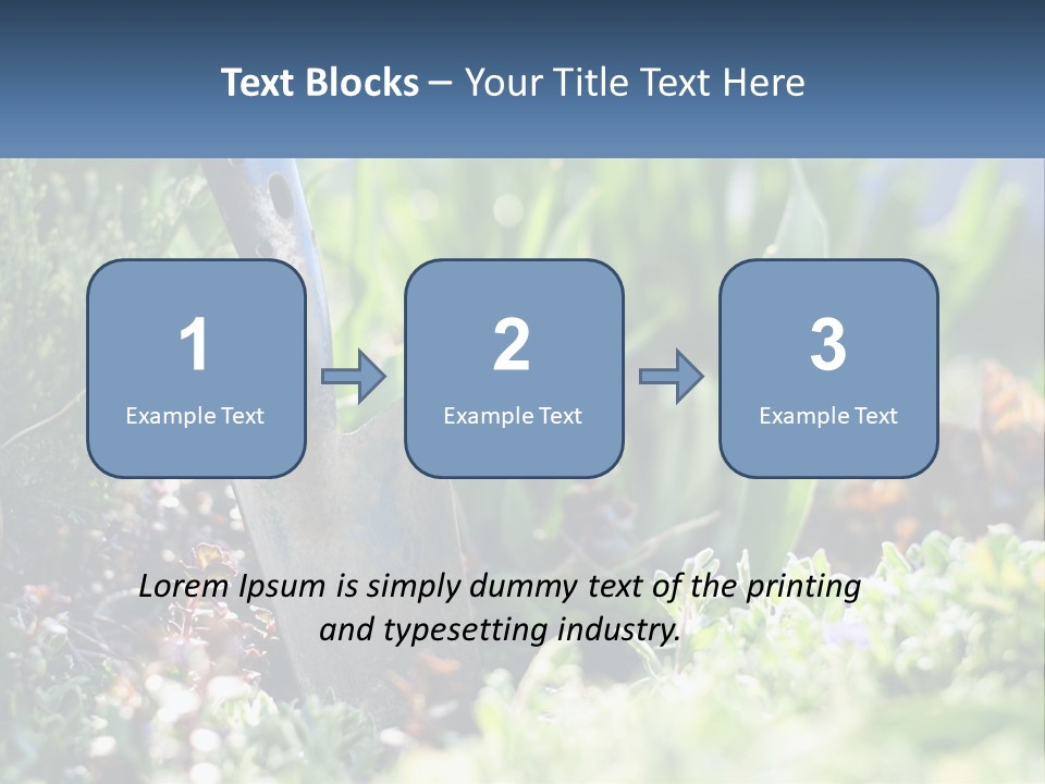 Sand Sea Caucasian PowerPoint Template