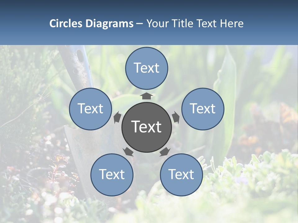 Sand Sea Caucasian PowerPoint Template