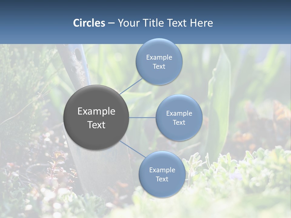 Sand Sea Caucasian PowerPoint Template