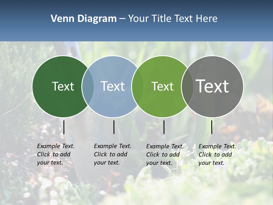 Sand Sea Caucasian PowerPoint Template