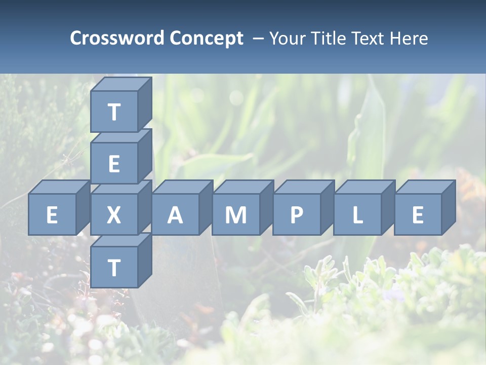 Sand Sea Caucasian PowerPoint Template