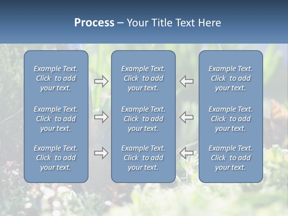 Sand Sea Caucasian PowerPoint Template