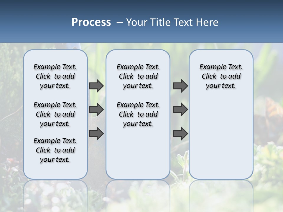 Sand Sea Caucasian PowerPoint Template