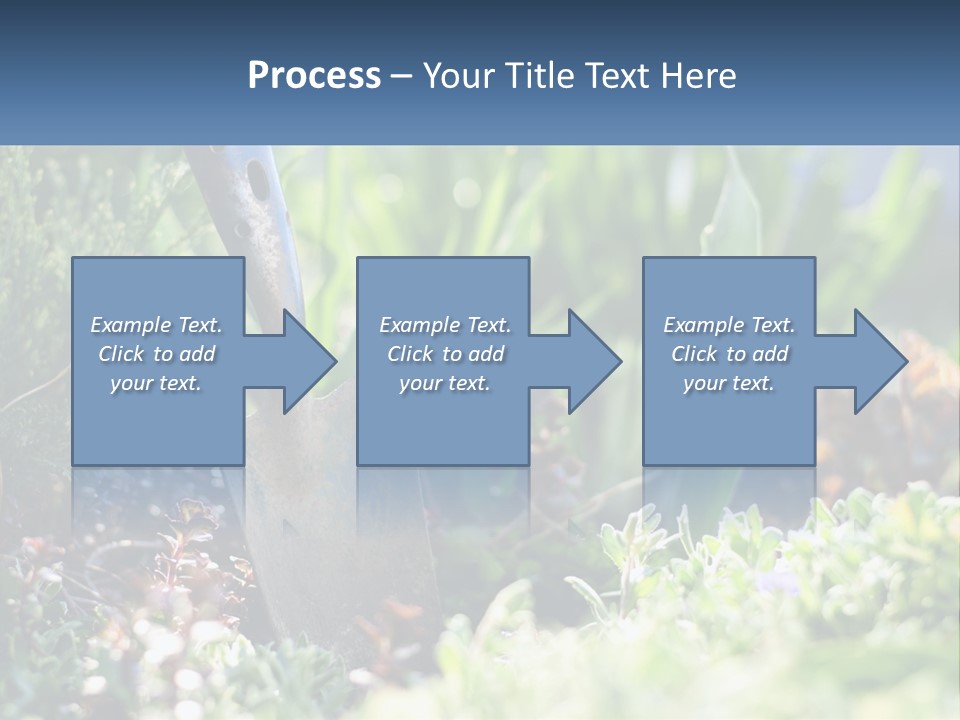 Sand Sea Caucasian PowerPoint Template