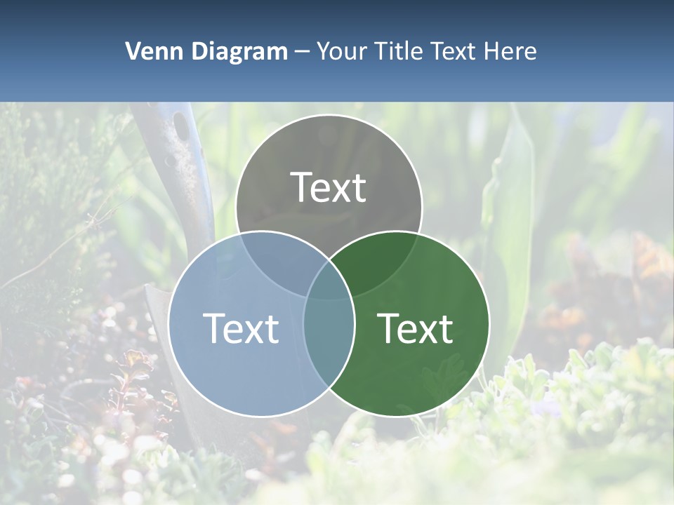 Sand Sea Caucasian PowerPoint Template