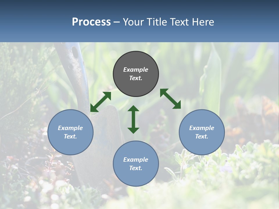 Sand Sea Caucasian PowerPoint Template