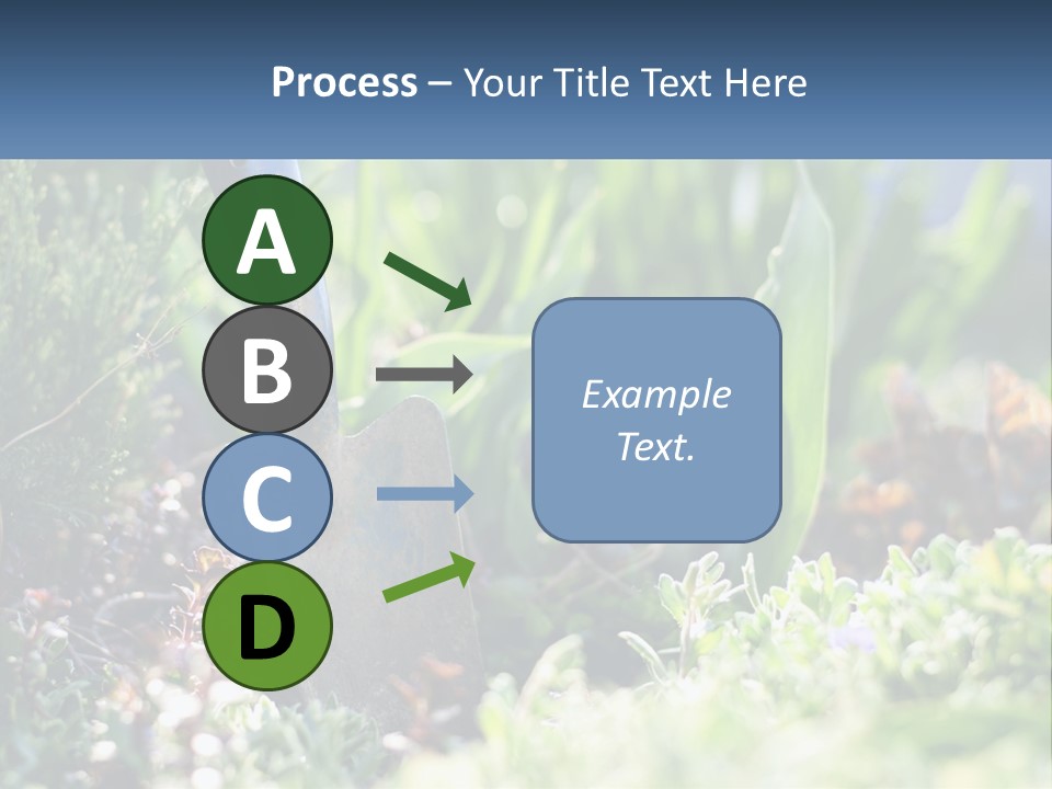Sand Sea Caucasian PowerPoint Template
