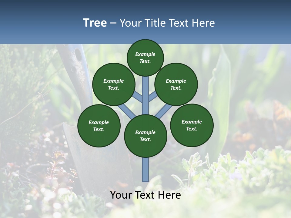 Sand Sea Caucasian PowerPoint Template