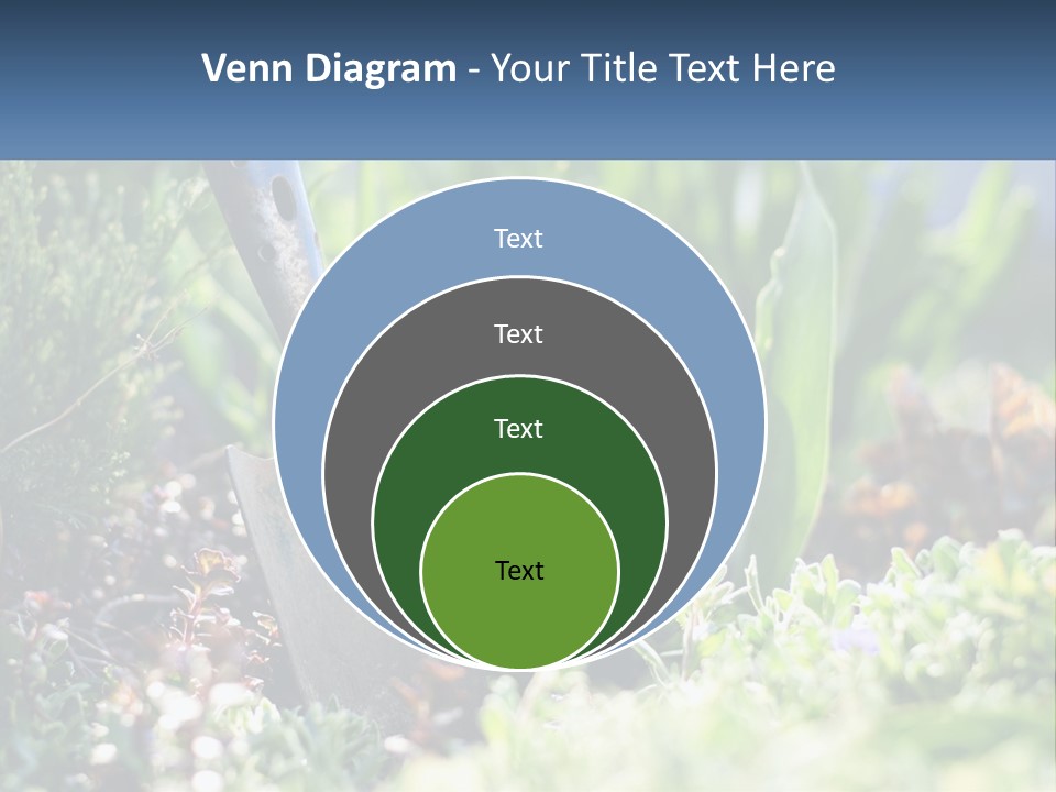 Sand Sea Caucasian PowerPoint Template