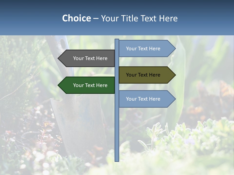 Sand Sea Caucasian PowerPoint Template