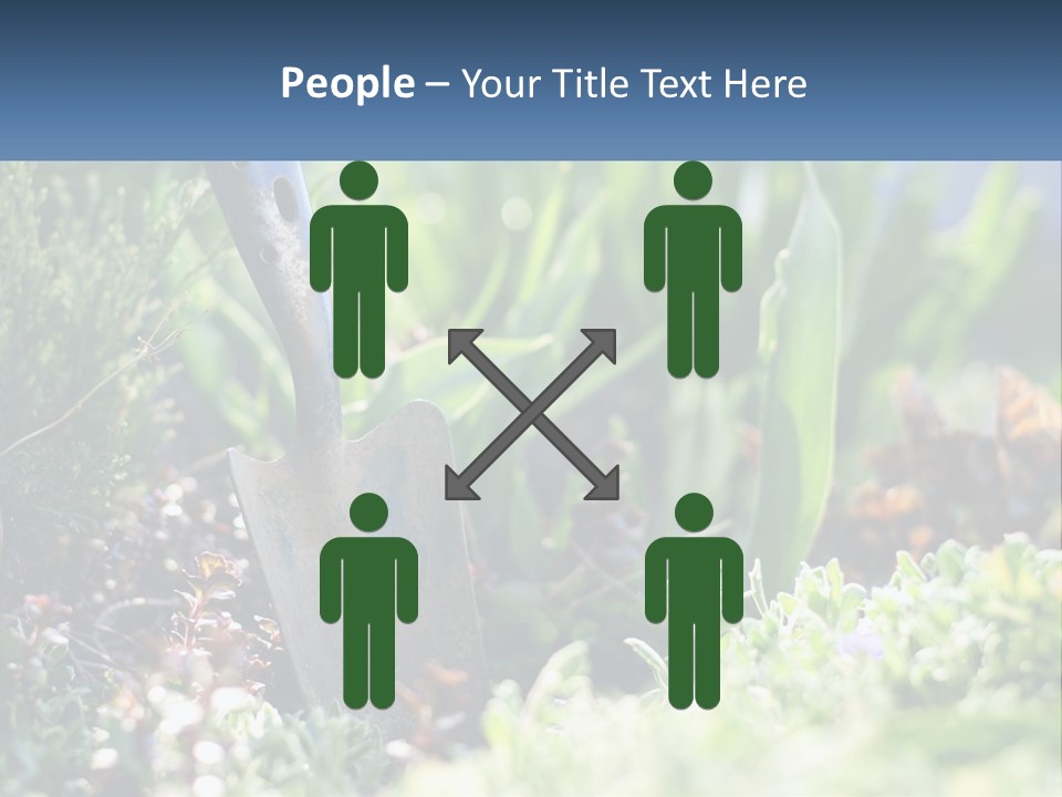 Sand Sea Caucasian PowerPoint Template