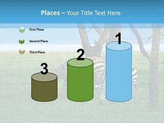 Sand Parent Coastal PowerPoint Template