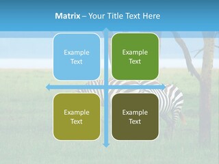 Sand Parent Coastal PowerPoint Template