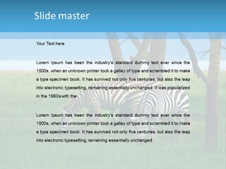 Sand Parent Coastal PowerPoint Template