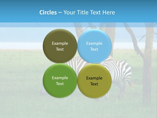 Sand Parent Coastal PowerPoint Template