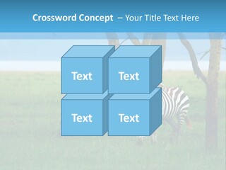 Sand Parent Coastal PowerPoint Template