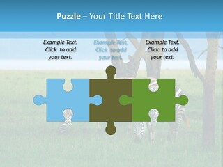 Sand Parent Coastal PowerPoint Template