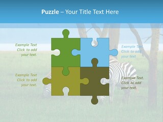 Sand Parent Coastal PowerPoint Template