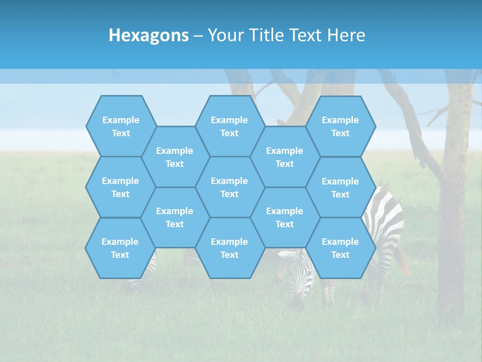 Sand Parent Coastal PowerPoint Template