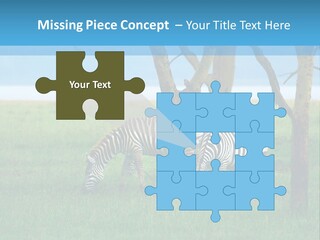Sand Parent Coastal PowerPoint Template