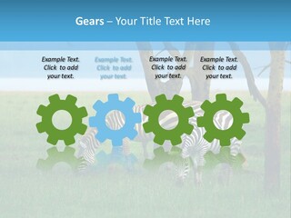 Sand Parent Coastal PowerPoint Template