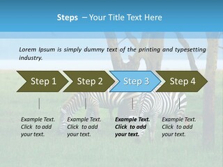 Sand Parent Coastal PowerPoint Template