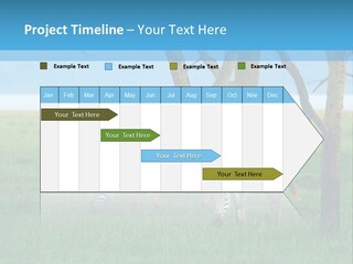 Sand Parent Coastal PowerPoint Template