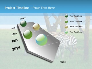 Sand Parent Coastal PowerPoint Template