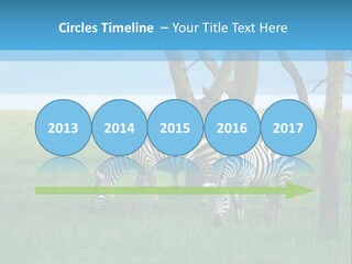 Sand Parent Coastal PowerPoint Template