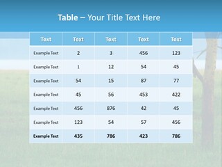 Sand Parent Coastal PowerPoint Template