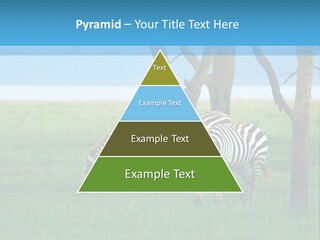 Sand Parent Coastal PowerPoint Template