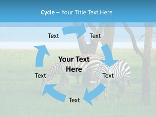 Sand Parent Coastal PowerPoint Template