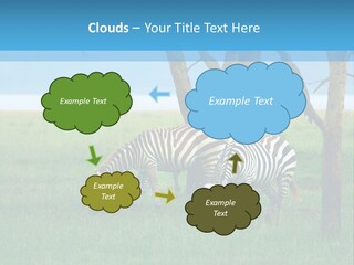 Sand Parent Coastal PowerPoint Template