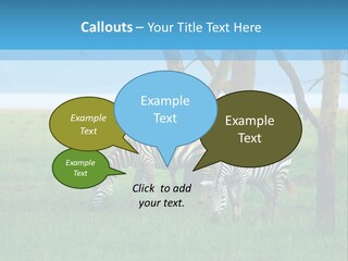 Sand Parent Coastal PowerPoint Template