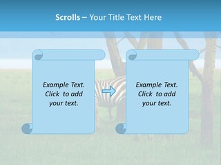 Sand Parent Coastal PowerPoint Template