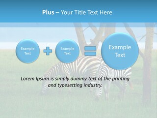 Sand Parent Coastal PowerPoint Template