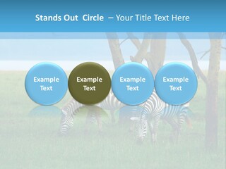 Sand Parent Coastal PowerPoint Template