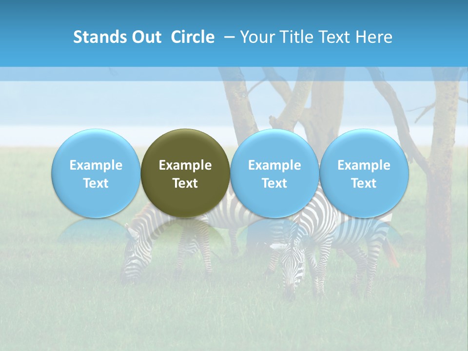 Sand Parent Coastal PowerPoint Template