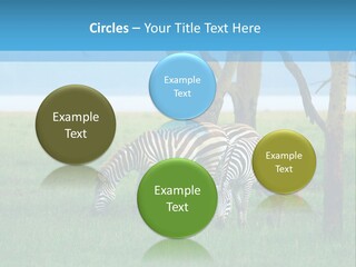 Sand Parent Coastal PowerPoint Template