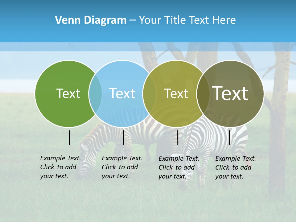 Sand Parent Coastal PowerPoint Template