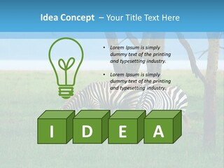 Sand Parent Coastal PowerPoint Template