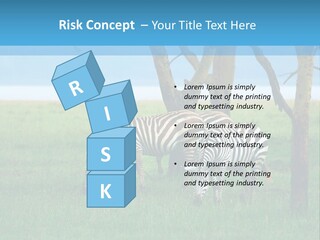 Sand Parent Coastal PowerPoint Template